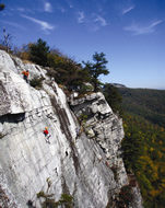 Alpine Endeavors Guide Service