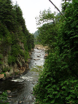 looking down the west branch of the Ausable River Gorge