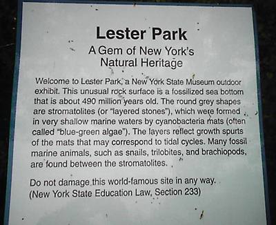 Lester Park, Greenfield