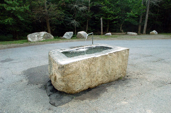 The Brant Lake Watering Tub