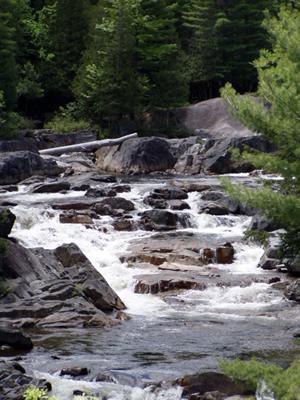 Branch River Falls